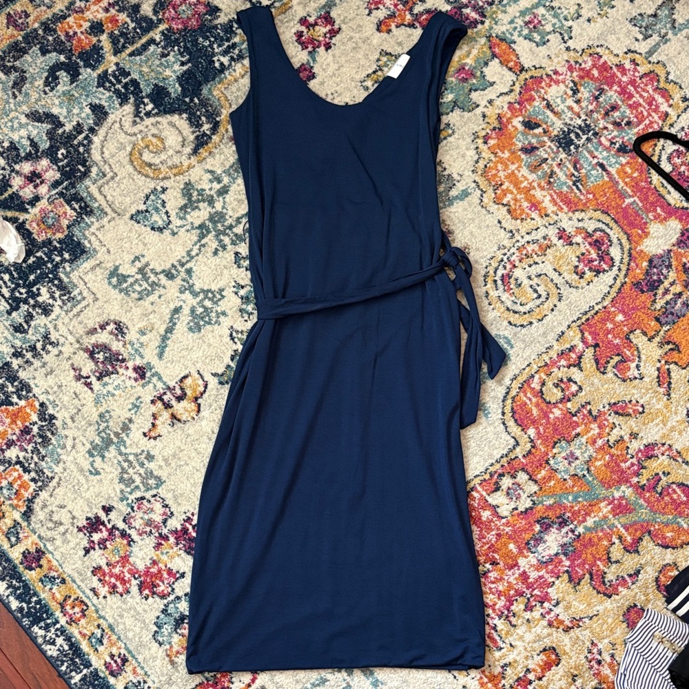 Amour Vert Navy Blue Sleeveless Dress